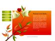 Website template