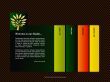 Website template