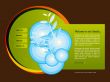 Website template