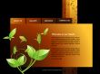 Website template