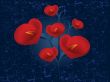 Love Illustration