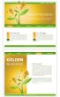 Website template