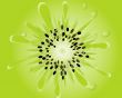 green kiwi slice wallpaper