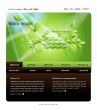 Website Template