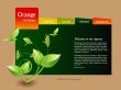 Website template