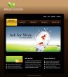 Website template