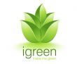 Igreen Logo