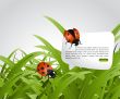  Ecology concept 