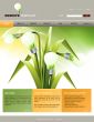 Website Template