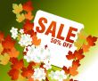 Sales and discount concept