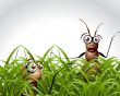 Antic Ant Character