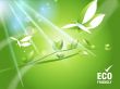 environmental Concept