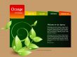 Website template