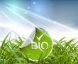 environmental Concept