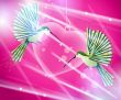  hummingbirds flying around pink heart
