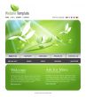 Website Template
