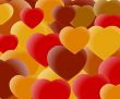 Valentine`s Day Concept