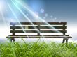 Garden Bench