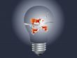 fish in the bulb