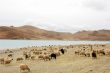 Landscape in Tibet