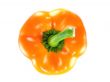Orange bell pepper 