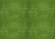 green grassland texture