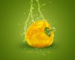 Fresh yellow bell pepper