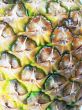 Fresh pineapple