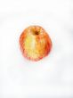 fresh apple
