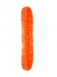 fresh orange carrot