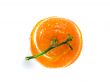 Peel of an orange