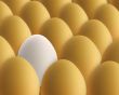 unique white egg