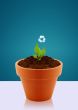 Ecological awareness concept