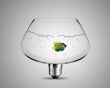 light bulb concept
