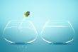 Anglefish jumping to Big bowl
