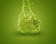 Fresh Green bell pepper