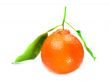 Fresh orange