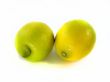Fresh Lemon