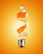 light bulb concept