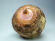 Taro Root 