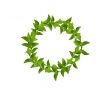 Wreath from Green leaves