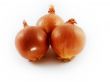 bulbs of onion