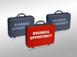 Business  case 