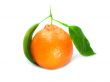 Fresh Orange