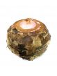 Taro Root Vegetable