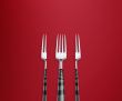 slim fork 
