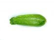 fresh zucchini