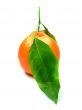 Fresh orange