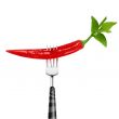 red hot chili pepper