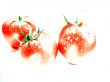 Fresh Red tomatoes